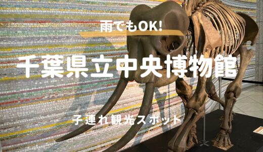 千葉県立中央博物館は子連れの穴場！雨の日でも1日遊べるコスパ最強スポットを徹底解説（千葉市）