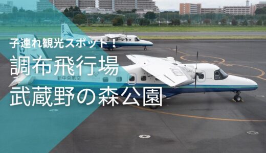 【子連れスポット】調布飛行場は飛行機見れる？武蔵野の森公園とあわせて遊んだ体験レビュー