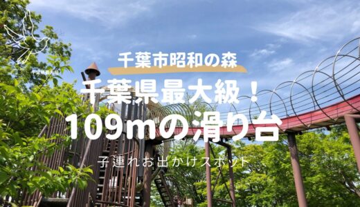 【千葉市・昭和の森】子連れ完全ガイド！全長109mのローラー滑り台やアスレチックを徹底レビュー