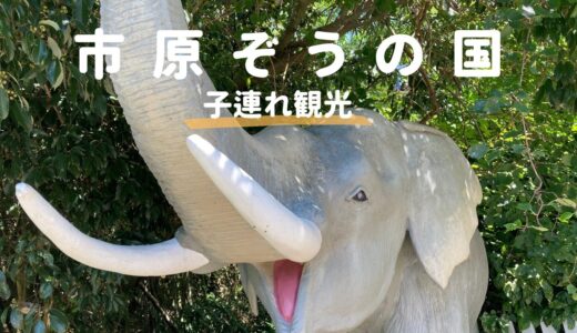 市原ぞうの国 子連れレビュー｜所要時間・見どころ・注意点