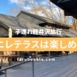 【子連れ旅行】２歳の息子と軽井沢！ハルニレテラスは楽しめる？