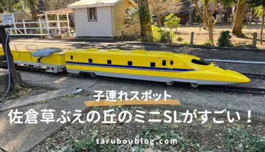 【子連れお出かけ】佐倉草ぶえの丘のミニ鉄道がすごい！体験レビュー