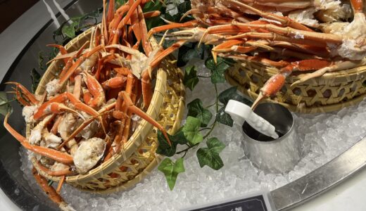 【子連れ宿泊レポ】ルスツリゾートホテル＆コンベンション！プール・食事・アクティビティを徹底レビュー