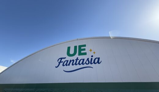 【千葉・東金】ユイガーデンリゾートの遊び場紹介！雨でもOK、巨大ボールプールに子供大興奮！料金やランチ、注意点も…