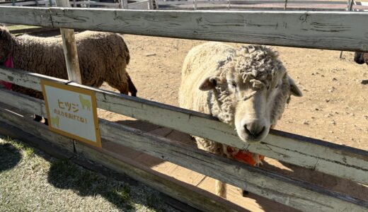 下のソーシャルリンクからフォロー