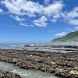 【子連れ館山・白浜】2歳と6歳の子供と磯遊び！美味しい魚介と浜焼きが最高すぎた！！