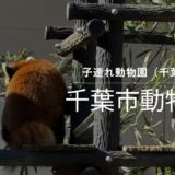 【3歳と6歳の子連れおでかけ】久しぶりに行った千葉市動物公園が想像以上に楽しかった！