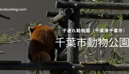 【3歳と6歳の子連れおでかけ】久しぶりに行った千葉市動物公園が想像以上に楽しかった！