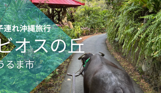 【子連れ沖縄】ビオスの丘は自然体験が最高！3歳・7歳と行った体験レビュー