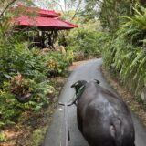 【子連れ沖縄】ビオスの丘は自然体験が最高！3歳・7歳と行った体験レビュー