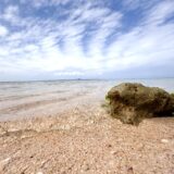 瀬底ビーチは子連れでも楽しめる？過去3回訪れた私がレビュー〜春が快適！〜