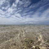 【子連れ沖縄】ホテルモントレ沖縄とルネッサンス沖縄どっちがおすすめ？子連れ目線で徹底比較