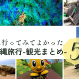 子連れ沖縄おすすめ観光スポットまとめ｜実際に行ってよかった場所