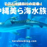 【子連れ沖縄】美ら海水族館の回り方！真夏の暑さ対策と失敗しないスケジュール管理