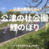 公津の杜公園の鯉のぼりが圧巻！2児パパが教える駐車場と混雑回避の攻略法