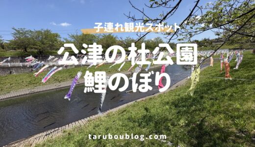 公津の杜公園の鯉のぼりが圧巻！2児パパが教える駐車場と混雑回避の攻略法