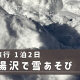 【子連れ新潟】越後湯沢で雪遊び＆ホテル日航新潟に泊まる！家族4人旅行
