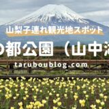 【山梨】花の都公園で絶景富士山＆水遊び！2人乗り自転車や溶岩体験など子連れレポ