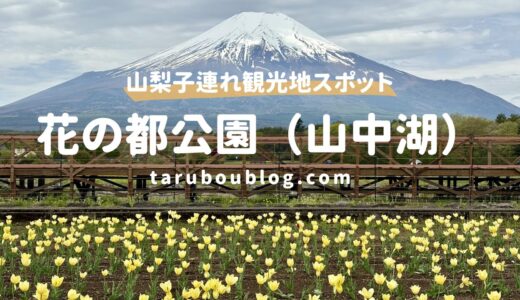 【山梨】花の都公園で絶景富士山＆水遊び！2人乗り自転車や溶岩体験など子連れレポ