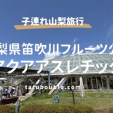 【山梨】笛吹川フルーツ公園で絶景水遊び！アクアアスレチック体験レポ。駐車場や注意点は？