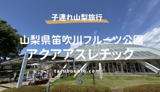 【山梨】笛吹川フルーツ公園で絶景水遊び！アクアアスレチック体験レポ。駐車場や注意点は？