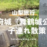 富士山の絶景に感動！子連れで楽しむ甲府城（舞鶴城公園）散策レポ｜ベビーカーと急階段の注意点
