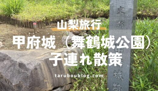富士山の絶景に感動！子連れで楽しむ甲府城（舞鶴城公園）散策レポ｜ベビーカーと急階段の注意点