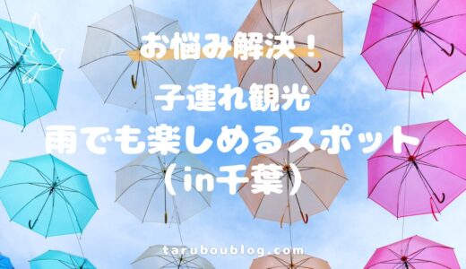 【保存版】雨の日どうする？千葉で子連れでも楽しめた室内スポットまとめ